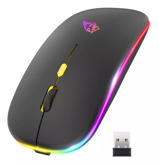 Mouse Recargable RGB